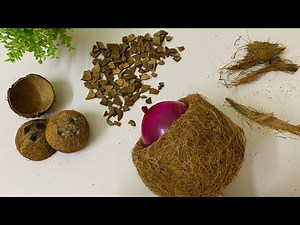 Coconut Shell Craft | Recycling Coconut Husk | Best Out Of Waste
