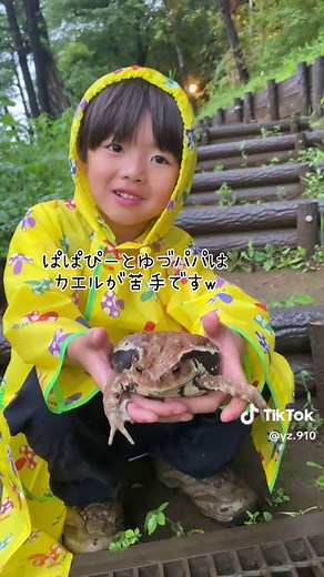 生物観察の鬼: ヒキガエルを発見！