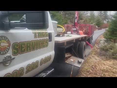 Cleaning up with the Metavic loader. #treeservice #ecologicalforestry #metavic #logloader