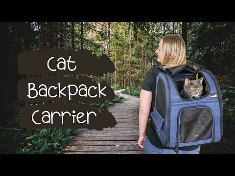 Best Pet Backpack Carrier - Cat Tested