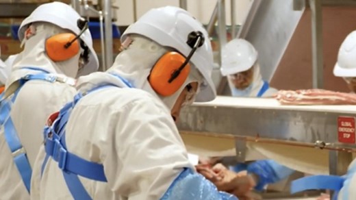 JBS Australia adds fifth site to $400m pork plan