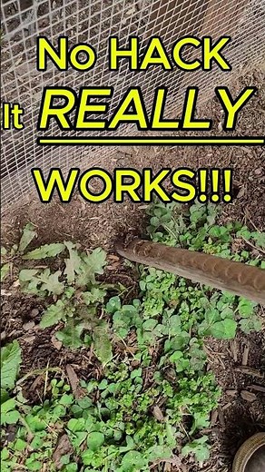 All Fishermen MUST See This! Crazy Easy Secret Way to Catch Worms Super Easy Bait Hack #fishingtips