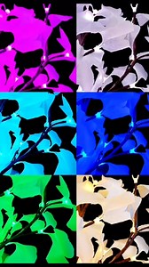 Light up your events giving them a natural, but lasting touch! ✨With our light trees, you can create the perfect atmosphere for your weddings, parties or events.🌳🌱💡💡 You can change the color of the light and choose the tree style.✨ . . . #lighting #lightroom #lighttree #lightdecor #lightinginspiration #decor #eventdecordirect #eventdesign #weddingdesign #eventplanner #eventdesigner #weddingdesigner #brides2023 #eventdecorations #eventdecor #eventstyling | Event Decor Direct