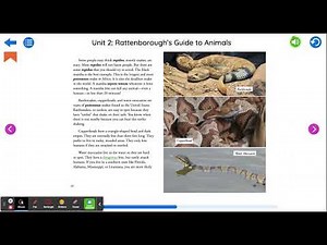 CKLA Grade 3 Unit 2 Lesson 9