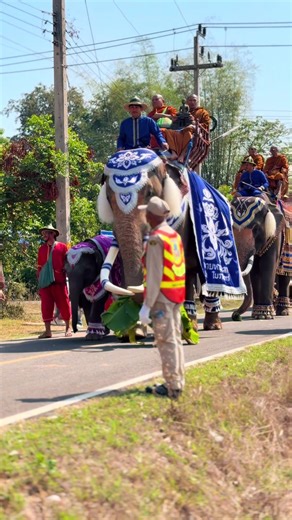 สนใจช้างแห่งานพิธีมงคลต่างๆเพิ่มเติมโทร(0658796936)(0995478914)(0985194595)ดำเนินงานโดยปู่เหมา ทรัพย์มาก ติดต่อได้24ชั่วโมง#ช้างวัฒนธรรมทีมงานหนุ่มเสก#พลายหนุ่มเสก#พลายพาตูลู#ช้างแห่งาน#พลายขวัญเมือง@เหมา ทรัพย์มาก @Jaruwan T. Yongram @พลายใบบุญ ควาญนัทV.1 @พังน้องพลอย @พลายขวัญเมือง ควาญโฟตส์ @พาตูลู ช้างคู่ใจพลายขวัญเมือง @พลายหนุ่มเสก ควาญหนุ่ม(ใบบัว) @บ้านสวนเสกขวัญพาตูลู