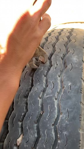 Tire Repair Process: Removing a Rusty Lug Nut