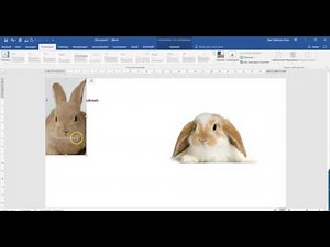 Word: plaatje verplaatsen