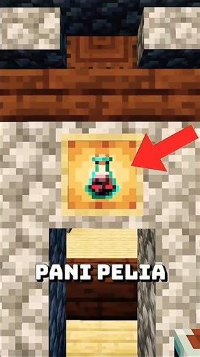 How To Win Raid Easily in Minecraft?