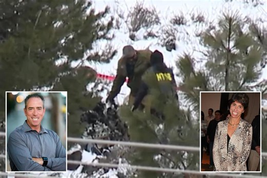 Israeli tech entrepreneur and wife killed in Calif. plane crash during snowstorm, leaving behind 3 kids
