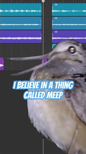 I Believe In A Thing Called Meep