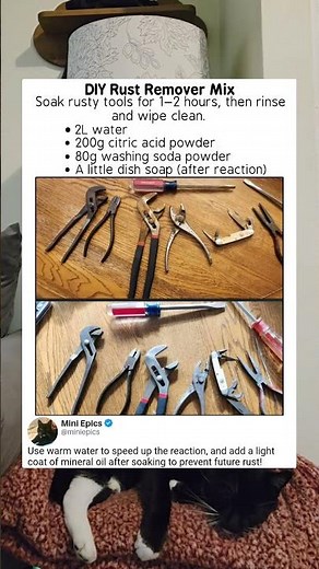 Rusty tools revived with simple homemade solution