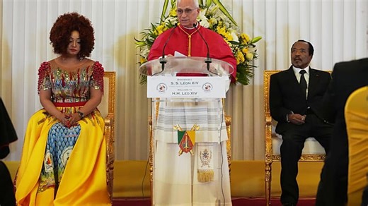 Pope urges Cameroon authorities to examine 'conscience'