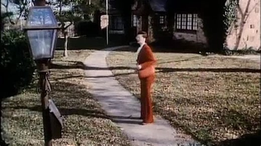 The Seniors (1978)