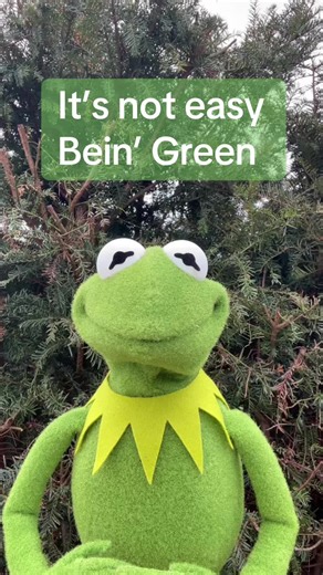 Embracing Being Green: A Muppet Perspective