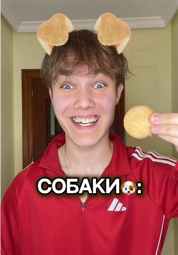 Домашние животные: жизнь с питомцами