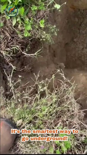 STOP DIGGING TRENCHES! Genius Underground Boring Tool