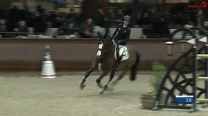 15K views · 374 reactions | Folgt jetzt Million Dollar 朗 ▶️watch.clipmyhorse.tv/Million-Dollar Wusstet ihr schon, dass ihr dank unserer neuen Follow-Funktion, eure Lieblingspferde abonieren könnt?  Einfach in der Veranstaltung auf den Namen des Pferdes klicken, den Follow-Button aktivieren und nie wieder einen Ritt verpassen ✨ | ClipMyHorse.TV Deutschland | Facebook