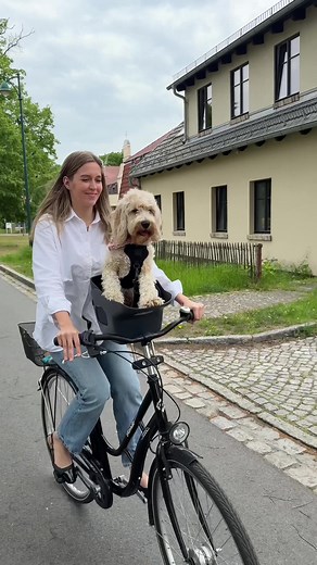 Adorable Dog-Friendly Bike Rides