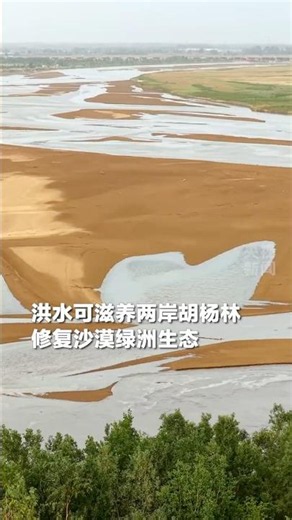 震撼！2026年首场洪水水头抵达新疆阿拉尔市，塔里木河正式进入汛期 | CCTV
