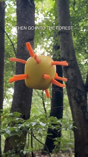 Secret Ritual of the Apparrotini #carrot #apple #zucchini #guys