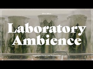 Laboratory Ambience | Sounds for Study, Focus | White Noise, 백색소음