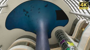 Unbelievable! China Built a Giant Aquarium Inside a Shopping Mall