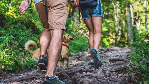 Get Outside: Top Hiking Spots Across Montgomery County