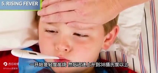 了解甲型流感病毒（H1N1）#医学科普 #甲流