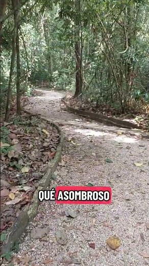 CHIAPAS Mexico 🔻 Experiences in Chiapas #discoverchiapas #chiapastourism #travel