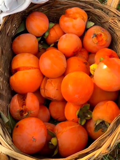Amazing fruits #shortsvideo #shots #satisfying #fruits #fruitsalad