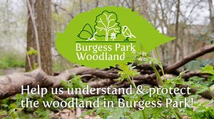 Burgess Park Woodlands