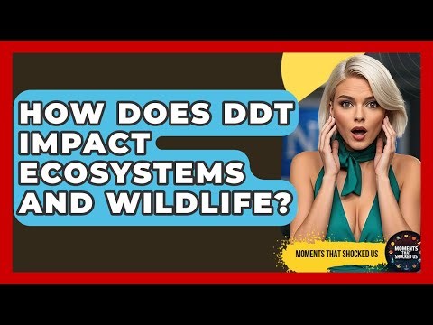 How Does DDT Impact Ecosystems And Wildlife? - Moments That Shocked Us