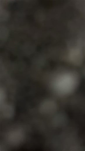 DARTH REVAN (BTS) ////////////////////////////////////////////////////////////////////////////////////// #tvcthrowbackthursday _____________________________ #finndormoon #starwars #actionfigures #themandalorian #starwarsfigures #starwarsactionfigures #onlyfigs #starwarstoys #actionfigurephotography #toypiccommunity #starwars375 #theriseofskywalker #theforceawakens #thelastjedi #thephantommenace #attackoftheclones #revengeofthesith #anewhope #empirestrikesback #returnofthejedi #theclonewars #rebe