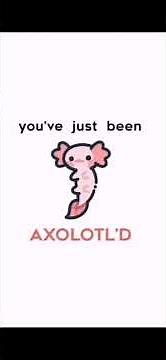 you've just been AXOLOTL'D (extended version)