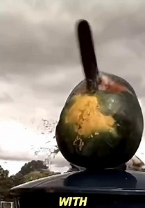 How aboriginal people used Ancient boomerangs…👍👍😱😱👌 | Charity Bisteroso