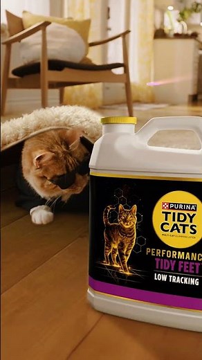 Cat Litter Upgrade: Spy Cats Choose Tidy Cats Performance+!