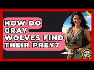 How Do Gray Wolves Find Their Prey? - The Wild Life Explorer