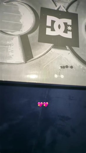 Birthday Gift Unboxing: DC Pixie Archive Shoes