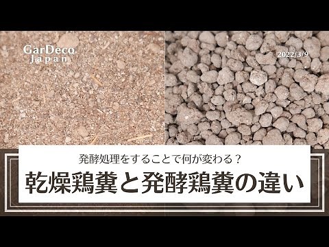 [Organic Fertilizer] What is the difference between dried chicken manure and fermented chicken ma...