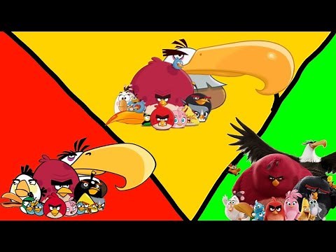 evolution of literally every angry bird that has one
