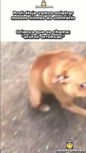 Soletrar ao contrário 🫪 Cachorro cururu 🐕