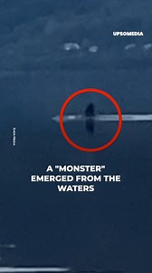 This man thought he made a historic discovery, but ended up disappointed. | The Enigma