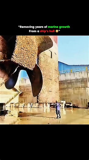 Filled Fact on Instagram: "Removing years of marine growth from a ship’s hull involves a detailed cleaning process to eliminate layers of barnacles, algae, and other sea organisms that build up over time and slow the vessel down. Divers or robotic cleaners use high-pressure water jets, rotating brushes, or specialized scraping tools to strip away the tough biological layers without damaging the ship’s paint or anti-fouling coating. In dry dock, the hull is exposed and thoroughly cleaned, often f