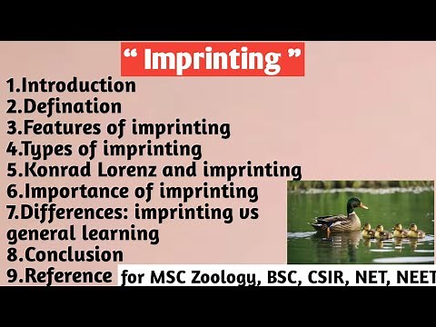 Imprinting | Features | Types | Konrad Lorenz and imprinting | Importance