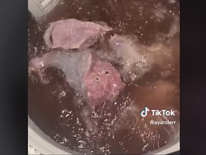 WATCH: TikToker washes tripe in the washing machine