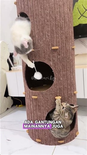 Aesthetic and multifunctional cat tree house #cattree #cattreekucing #cattoy #cutecat