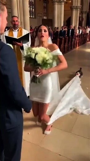 A Cat CRASHED the Wedding… and Stole the Bride’s Dress 😭🐱💍