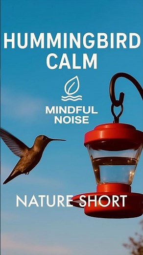 Hummingbird Calm 🐦 | Relaxing Nature Short | Mindful Noise