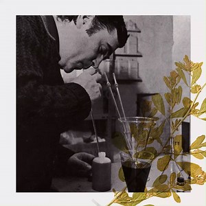 [La petite hstoire] - 1965 - Poussé par sa devise "Primum non nocere" (d'abord ne pas nuire) le coiffeur Patrick Alès, fondateur de PHYTO, concocte ses premiers soins capillaires à base de plantes, notamment pour préserver les mains des shampouineuses, en contact permanent avec des substances chimiques délétères. #LaPuissanceVegetale #Phyto50 | Phyto Paris