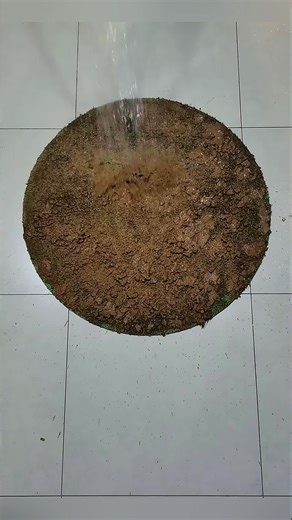 Satisfying ASMR Rug Cleaning for Muddy Carpets